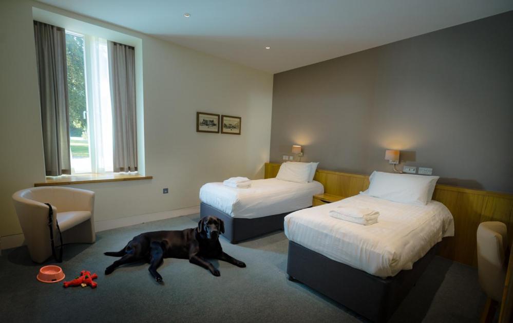 Northgate House Hotel Buckfastleigh Ngoại thất bức ảnh